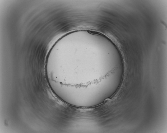 X0000103261296200809121914