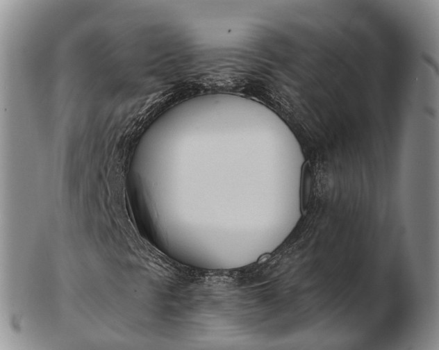 X0000103261297200809121914