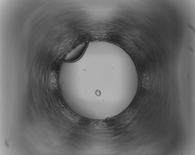 X0000103261298200809121914