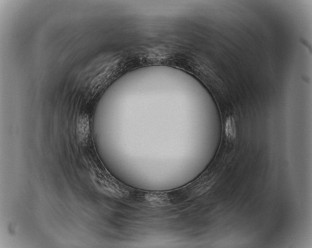 X0000103261299200809121914