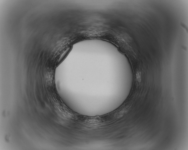 X0000103261300200809121914