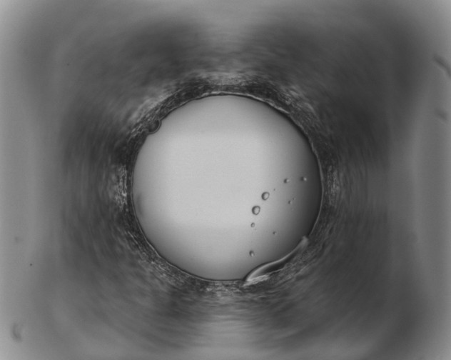 X0000103261301200809121914