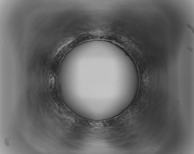 X0000103261302200809121914