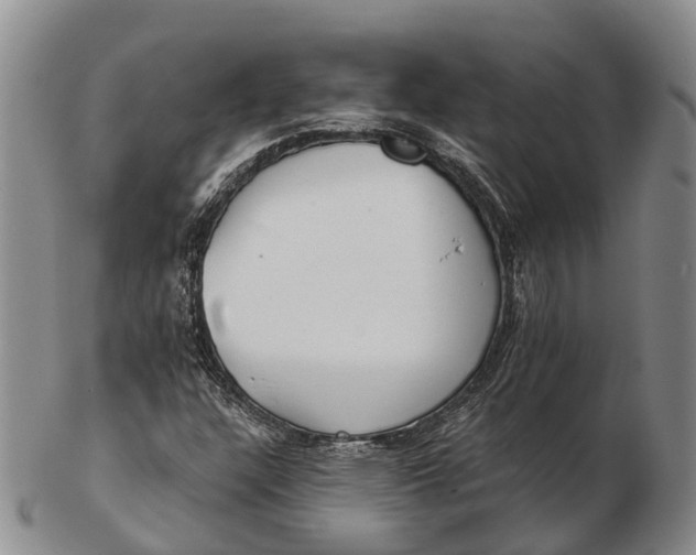 X0000103261304200809121914