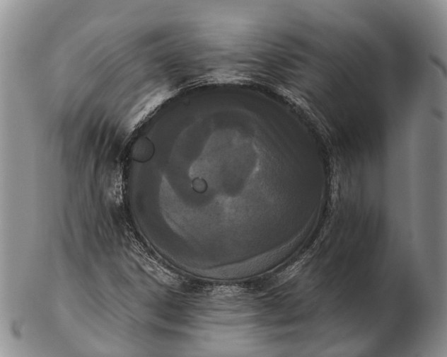 X0000103261306200809121914