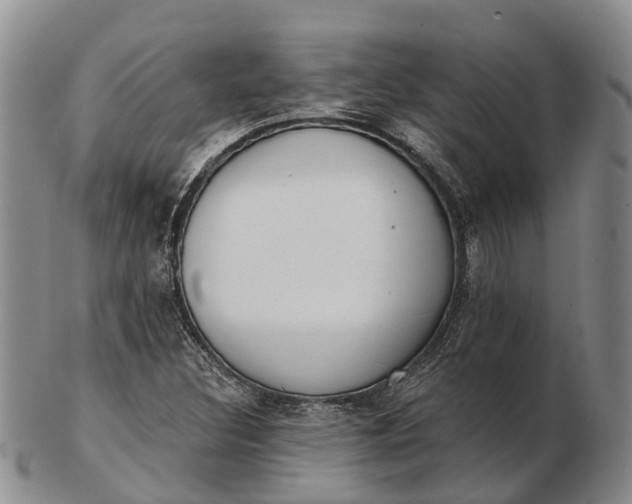 X0000103261308200809121914