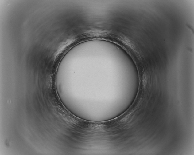 X0000103261309200809121914