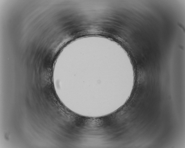 X0000103261314200809121914