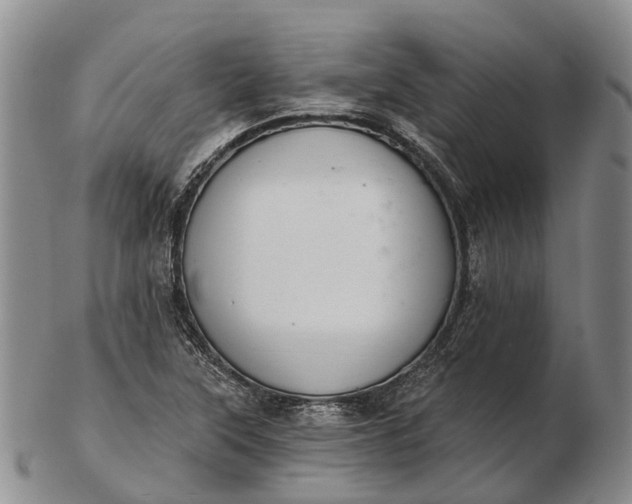 X0000103261315200809121914