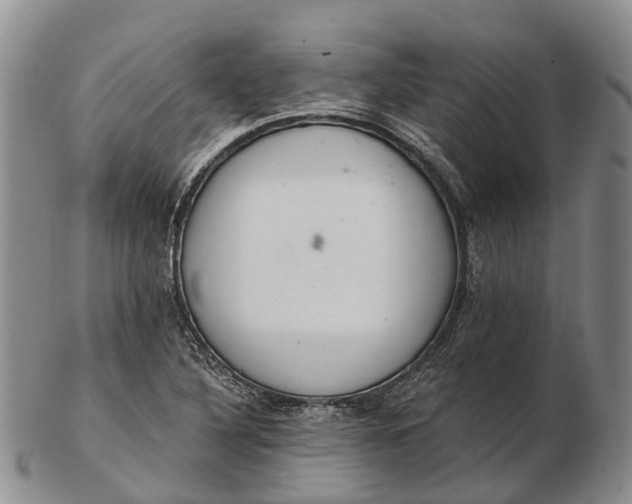 X0000103261316200809121914