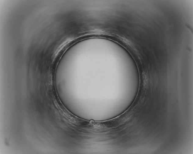 X0000103261318200809121914