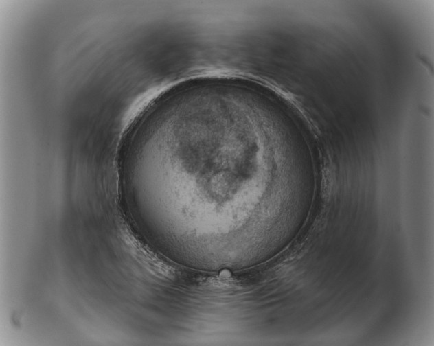 X0000103261319200809121914