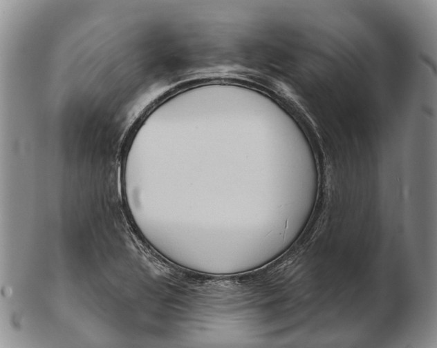 X0000103261320200809121914