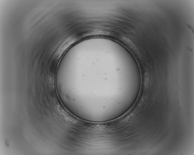 X0000103261321200809121914