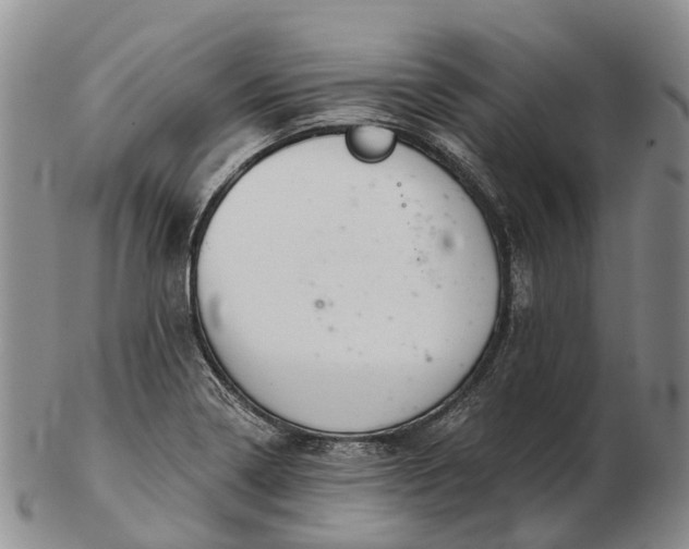 X0000103261322200809121914