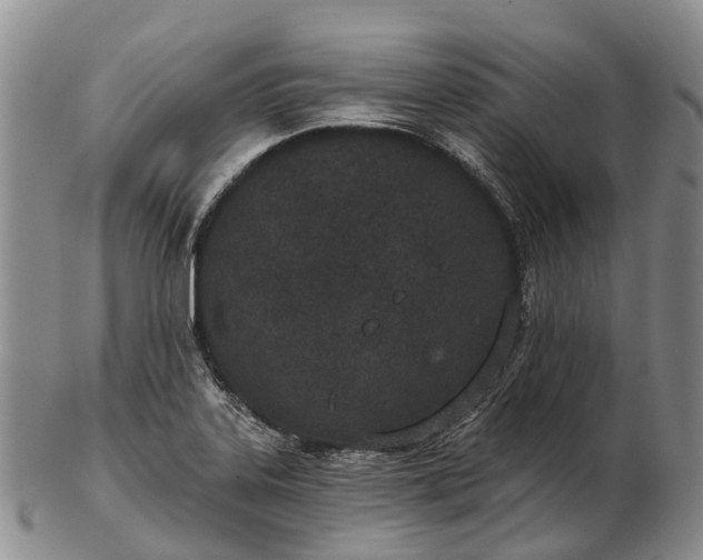 X0000103261323200809121914