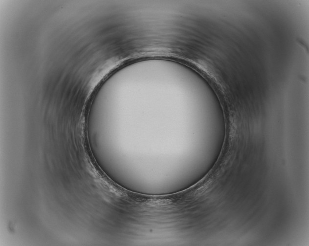 X0000103261325200809121914