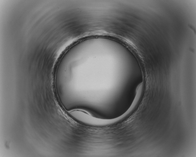 X0000103261326200809121914