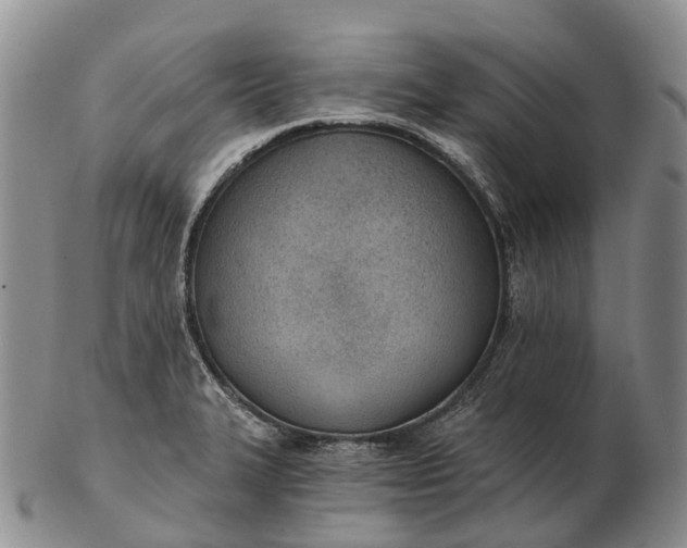 X0000103261327200809121914