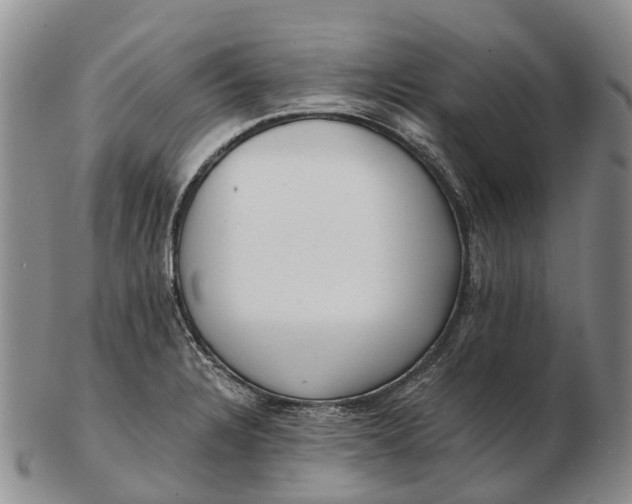 X0000103261328200809121914