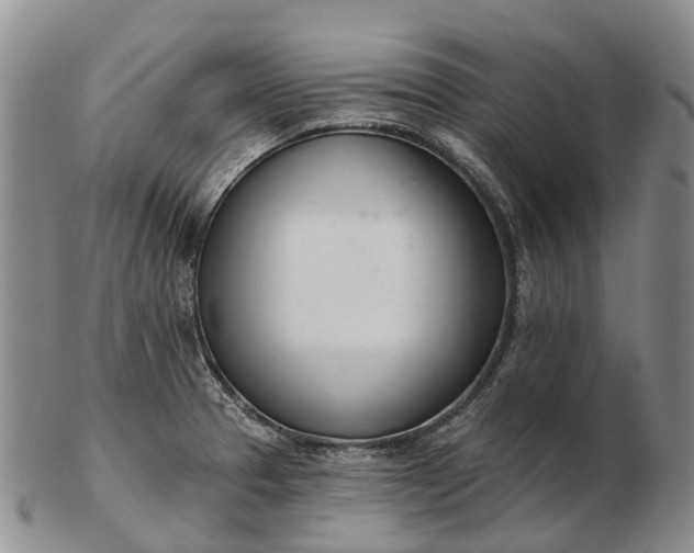 X0000103261329200809121914