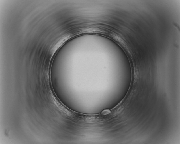 X0000103261330200809121914