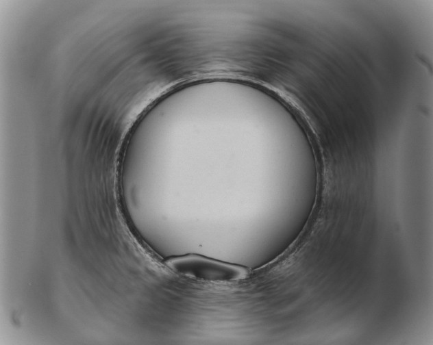 X0000103261333200809121914