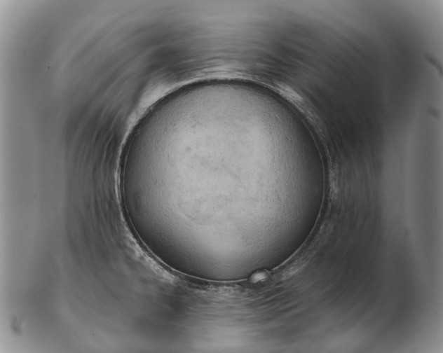 X0000103261334200809121914