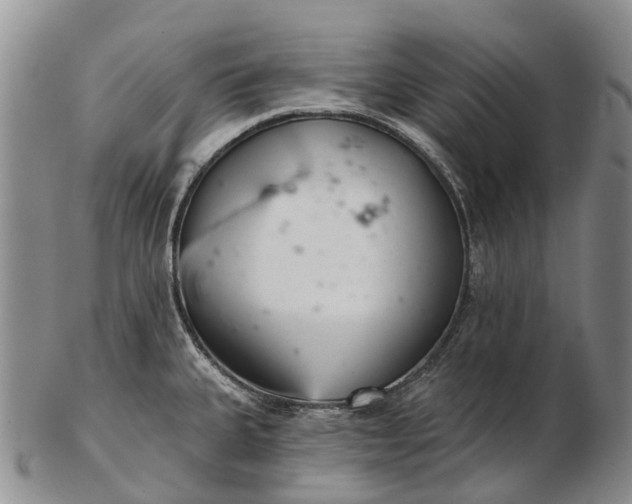 X0000103261335200809121914