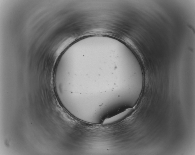 X0000103261336200809121914