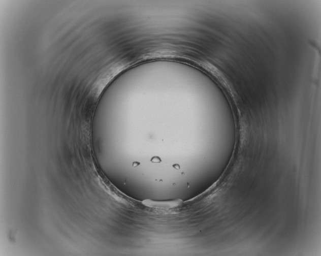 X0000103261337200809121914