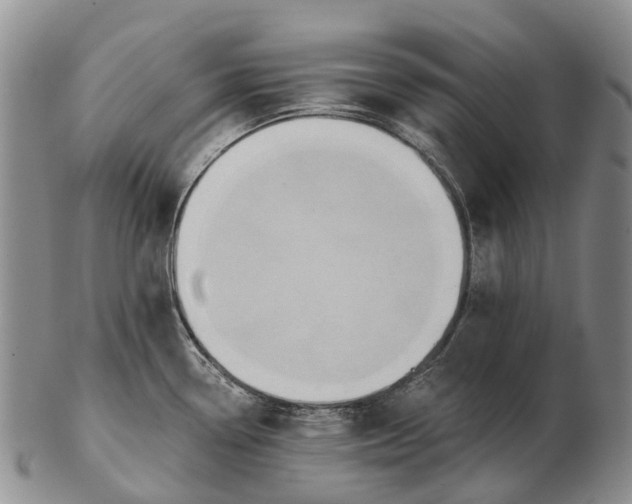 X0000103261338200809121914