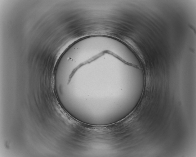 X0000103261340200809121914