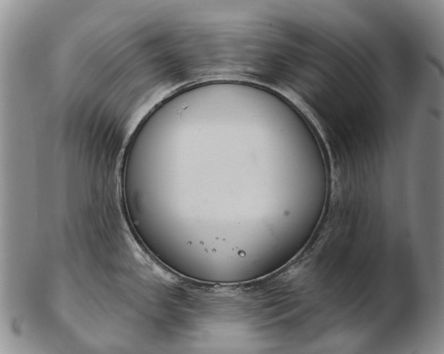 X0000103261341200809121914