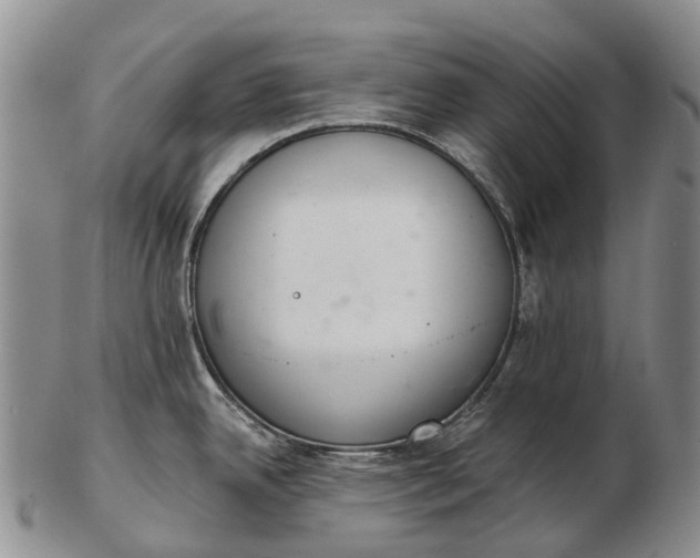 X0000103261342200809121914