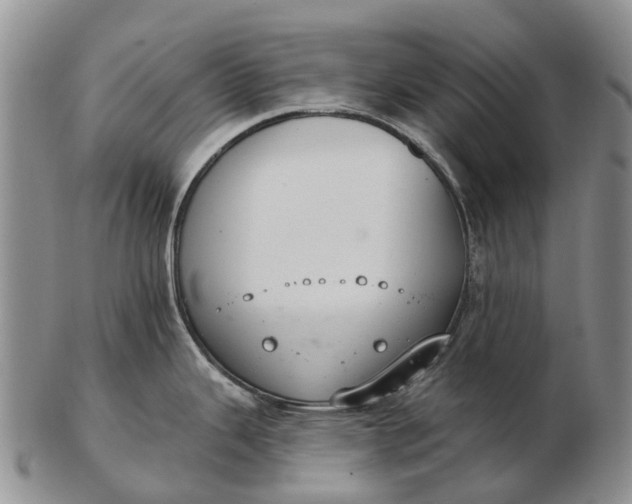 X0000103261343200809121914