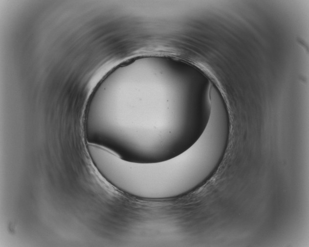 X0000103261344200809121914