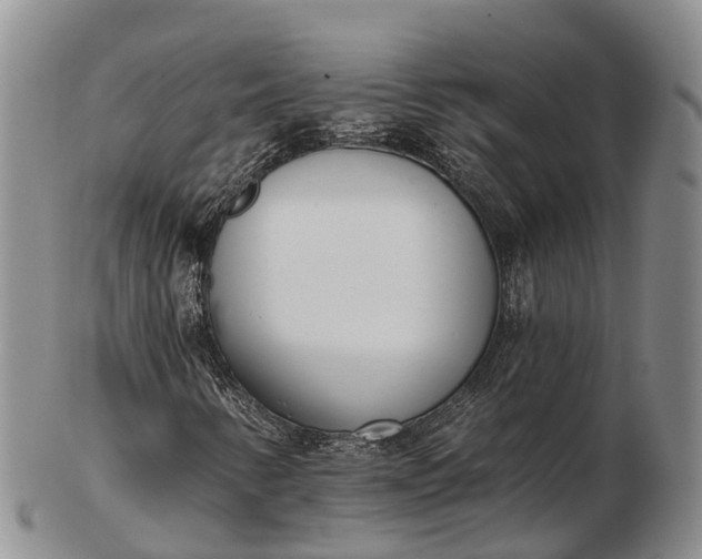 X0000103261346200809121914