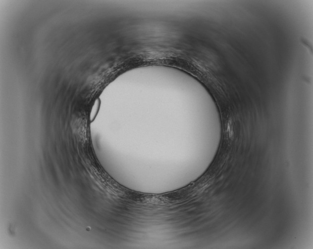 X0000103261348200809121914