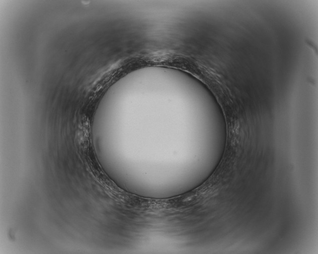 X0000103261349200809121914