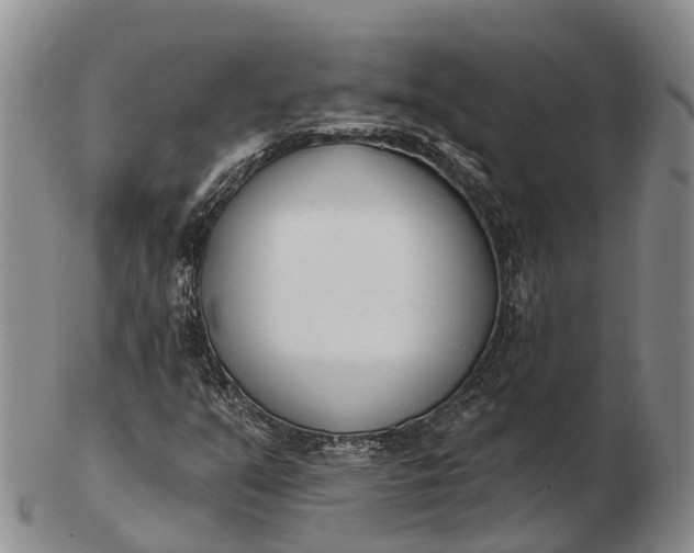 X0000103261351200809121913