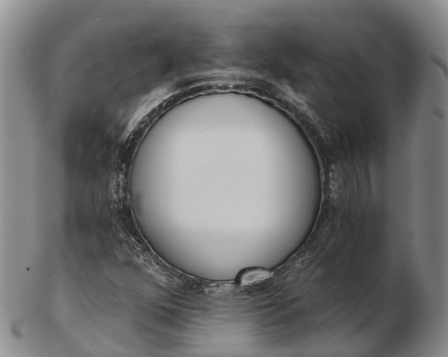 X0000103261352200809121913