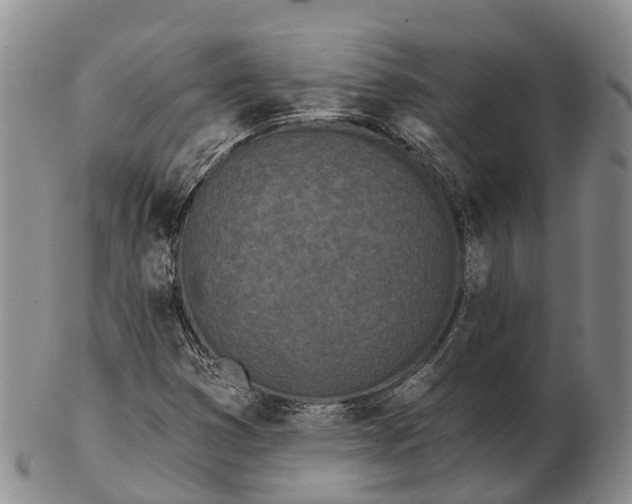 X0000103261353200809121913