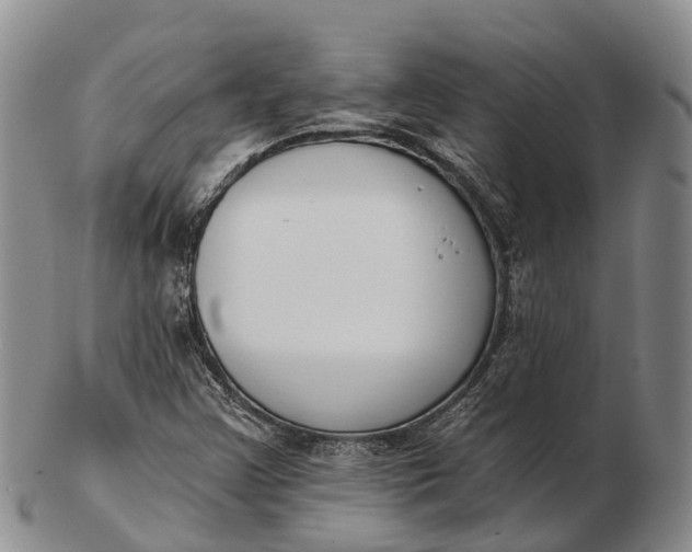 X0000103261355200809121913