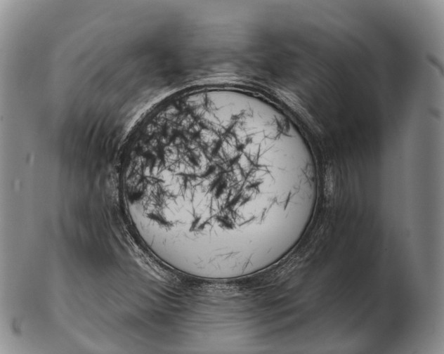 X0000103261356200809121913