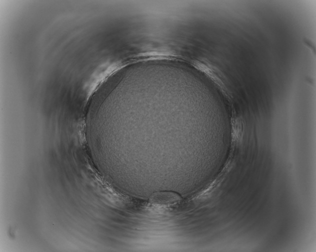 X0000103261357200809121913