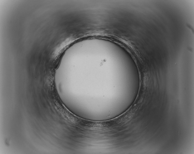 X0000103261359200809121913