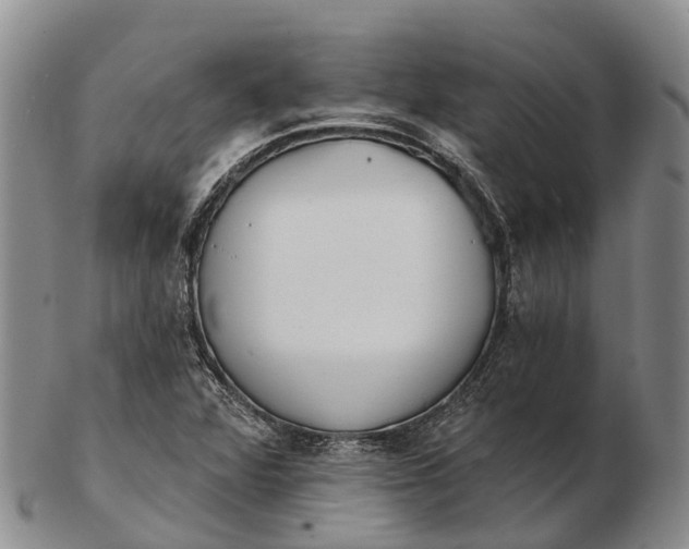 X0000103261360200809121913