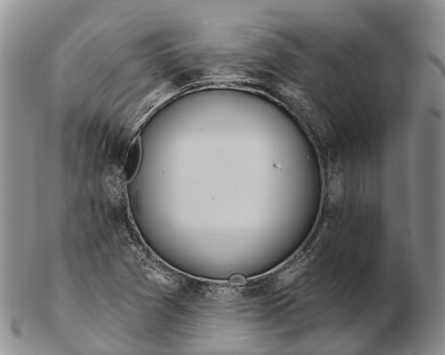 X0000103261361200809121913