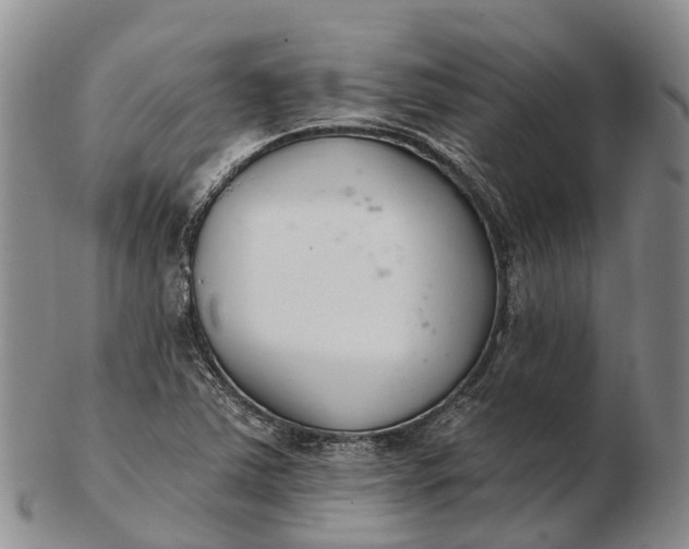 X0000103261363200809121913